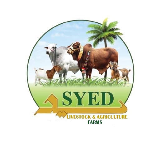 Syed Farms